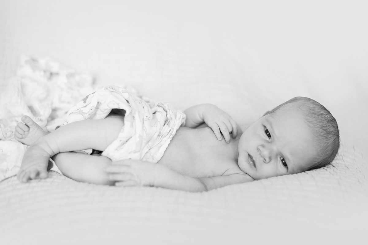 greensboro-newborn-session-1